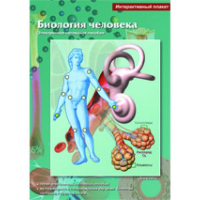 Интерактивные плакаты. Биология человека. Программно-методический комплекс - fgospostavki.ru - Белгород