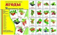 Демонстрационные карточки "Ягоды" - fgospostavki.ru - Белгород