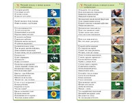 Комплект карточек (10) "Обучающий калейдоскоп. Природа" - fgospostavki.ru - Белгород