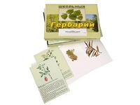 Гербарий "Для начальной школы" (30 видов, с иллюстрациями) - fgospostavki.ru - Белгород