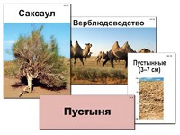 Модель-аппликация "Природные зоны России" (ламинированная) - fgospostavki.ru - Белгород