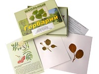 Гербарий "Систематика растений. Семейство Розоцветные" (раздаточный) - fgospostavki.ru - Белгород