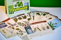 Гербарий к курсу основ общей биологии - fgospostavki.ru - Белгород