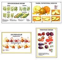 Плакаты ПРОФТЕХ "Ассортимент овощных культур" (12 пл, винил, 70х100) - fgospostavki.ru - Белгород