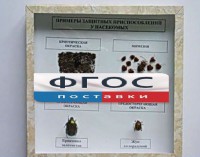 Коллекция энтомологическая "Примеры защитных приспособлений у насекомых" - fgospostavki.ru - Белгород