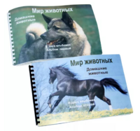 Пособие для слабовидящих - Домашние животные - fgospostavki.ru - Белгород