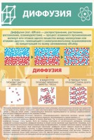 Стенд "Диффузия" - fgospostavki.ru - Белгород
