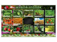 Комплект оборудования "Живой уголок" (растения) - fgospostavki.ru - Белгород