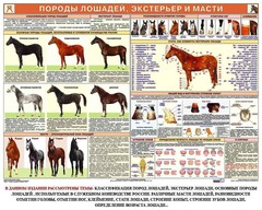 Комплект плакатов "Служебное коневодство" - fgospostavki.ru - Белгород
