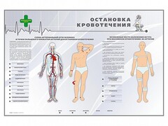 Электрифицированный стенд "Остановка кровотечения" - fgospostavki.ru - Белгород