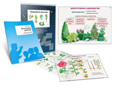 Комплект кодотранспарантов "Культурные растения" - fgospostavki.ru - Белгород