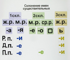 Набор магнитных карточек "Склонение имен существительных" - fgospostavki.ru - Белгород