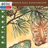 Ботаника. Микрофотографии. (Цифровая база изображений) - fgospostavki.ru - Белгород