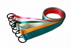 Лента гимнастическая на кольце (0,25 метра) - fgospostavki.ru - Белгород