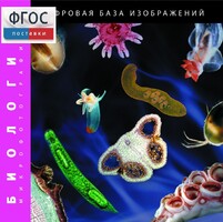 Биология. Микрофотографии. (Цифровая база изображений) - fgospostavki.ru - Белгород