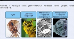 Интерактивные курсы. Биология 5 класс. Расширенный - fgospostavki.ru - Белгород