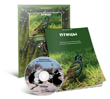 Электронное наглядное пособие «Птицы» - fgospostavki.ru - Белгород