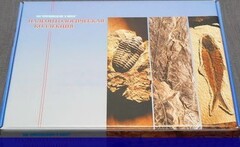 Коллекция "Палеонтологическая" (16 образцов) - fgospostavki.ru - Белгород