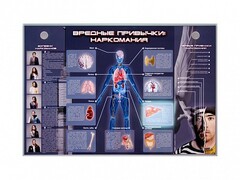 Электрифицированный стенд "Вредные привычки: наркомания" - fgospostavki.ru - Белгород