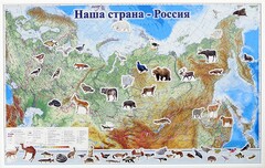 Магнитные карточки "Животные" - fgospostavki.ru - Белгород