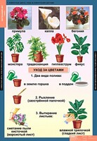 Комплект таблиц. Окружающий мир 1 класс. - fgospostavki.ru - Белгород