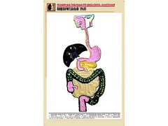Рельефная таблица "Пищеварительный тракт" (формат А1, матовое ламинирование) - fgospostavki.ru - Белгород