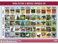 Таблица демонстрационная "Почвы, растения и животные природных зон" (винил 70*100) - fgospostavki.ru - Белгород