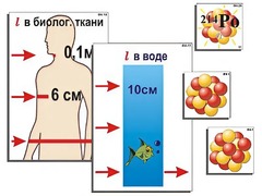 Модель-аппликация "Явление радиоактивности" (ламинированная) - fgospostavki.ru - Белгород