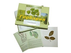 Гербарий "Дикорастущие растения" (30 видов, с иллюстрациями) - fgospostavki.ru - Белгород