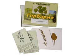 Гербарий "Лекарственные растения" (22 вида с иллюстрациями) - fgospostavki.ru - Белгород