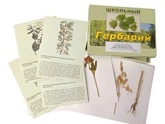 Гербарий "Систематика растений. Семейство Бобовые. Злаки" (раздаточный) - fgospostavki.ru - Белгород