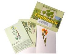 Гербарий "Систематика растений. Семейство Пасленовые. Крестоцветные. Сложноцветные" (раздаточный) - fgospostavki.ru - Белгород