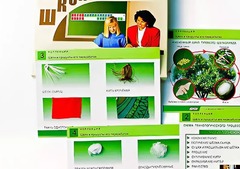 Коллекция "Шелк и продукты его переработки" (средняя школа) - fgospostavki.ru - Белгород