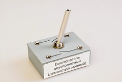 Выключатель двухполюсный (демонстрационный) - fgospostavki.ru - Белгород
