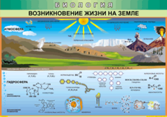 Таблица "Возникновение жизни на земле" (100х140 сантиметров, винил) - fgospostavki.ru - Белгород