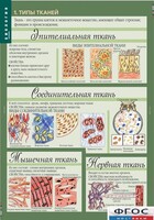 Комплект таблиц. Биология 8-9 класс. Человек. - fgospostavki.ru - Белгород