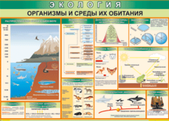 Таблица "Организмы и среды их обитания" (100х140 сантиметров, винил) - fgospostavki.ru - Белгород