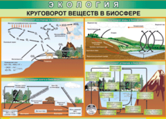 Таблица "Круговорот веществ в биосфере" (100х140 сантиметров, винил) - fgospostavki.ru - Белгород