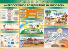 Таблица "Антропогенное воздействие на биосферу" (100х140 сантиметров, винил) - fgospostavki.ru - Белгород