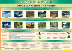 Таблица "Экология. Обобщающие таблицы" (100х140 сантиметров, винил) - fgospostavki.ru - Белгород
