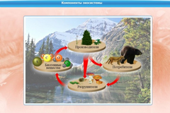 Интерактивные курсы. Биология 7 класс. Базовый. - fgospostavki.ru - Белгород