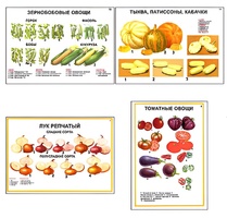 Плакаты ПРОФТЕХ "Ассортимент овощных культур" (12 пл, винил, 70х100) - fgospostavki.ru - Белгород
