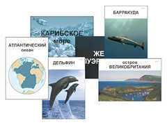 Модель-аппликация "Океаны. Знакомство" (ламинированная) - fgospostavki.ru - Белгород