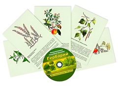 Интерактивный наглядный комплекс "Гербарий "Для начальной школы" - fgospostavki.ru - Белгород