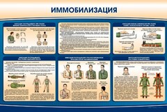 Стенд "Иммобилизация" - fgospostavki.ru - Белгород