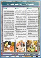 Стенд "Белки. Жиры. Углеводы" - fgospostavki.ru - Белгород