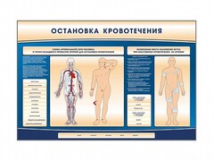 Электрифицированный стенд-тренажер "Остановка кровотечения" - fgospostavki.ru - Белгород