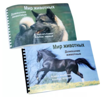 Пособие для слабовидящих - Домашние животные - fgospostavki.ru - Белгород