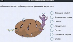 Интерактивные курсы. Биология 6 класс. Расширенный - fgospostavki.ru - Белгород