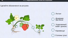 Интерактивные курсы. Биология 7 класс. Расширенный. - fgospostavki.ru - Белгород